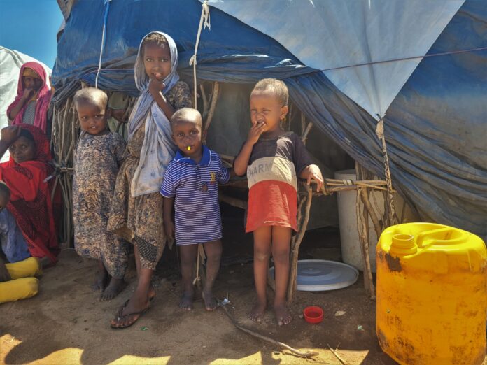 Newly arrived women and children IDPs in Dadaab after fleeing Somalia's ongoing drought and conflict.