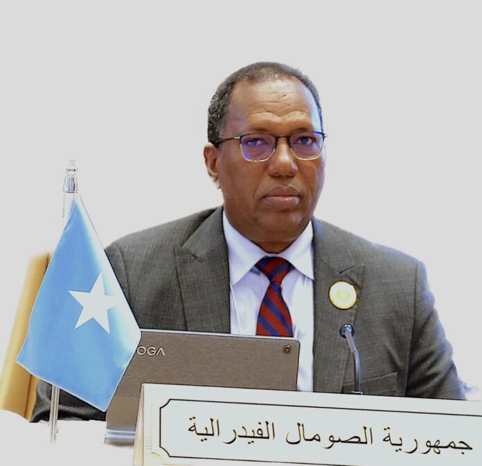 Somali Finance Minister (sacked) Dr. Elmi Mohamud Nur.