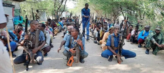 Security forces and local militia based in Qoryooley town in Lower Shabelle region.