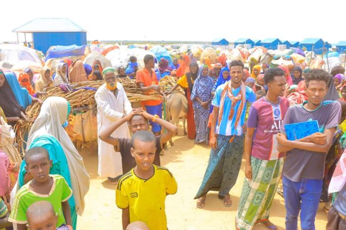 Over 700 displaced by ongoing clan clashes in Luuq district arrive in Dolow. | PHOTO/ KAAB TV.