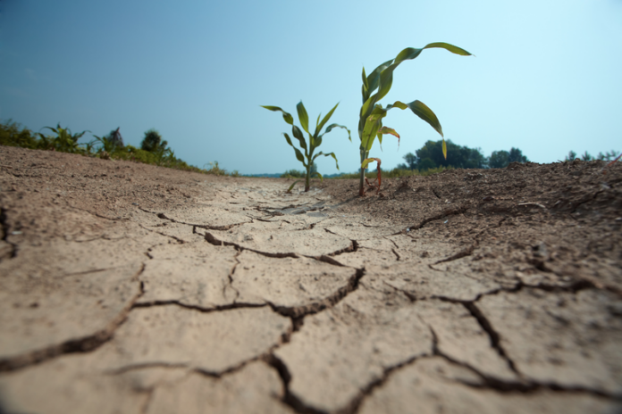 The forecast indicates an increased likelihood of drier-than-normal conditions over the eastern parts of the Horn of Africa.