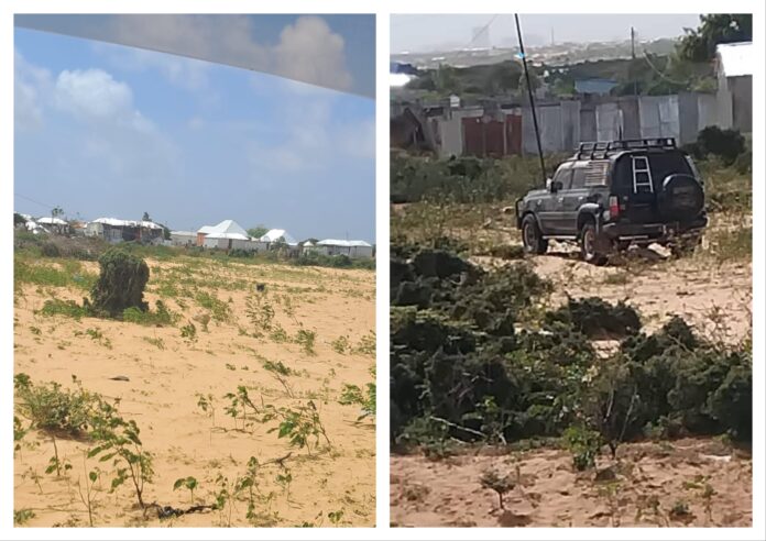 Suicide Bomber Targets Security Checkpoint Near Mogadishu, Multiple Casualties Reported.