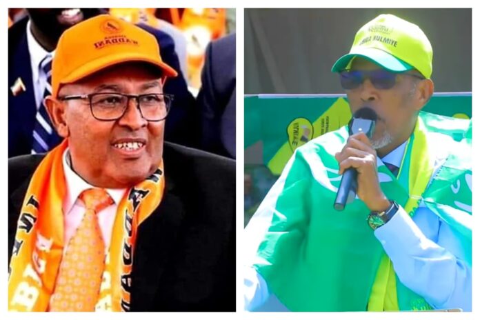 President Muse Bihi (pictured right) who was in power for seven years is facing main opposition candidate Abdirahman Abdillahi Irro (pictured left).