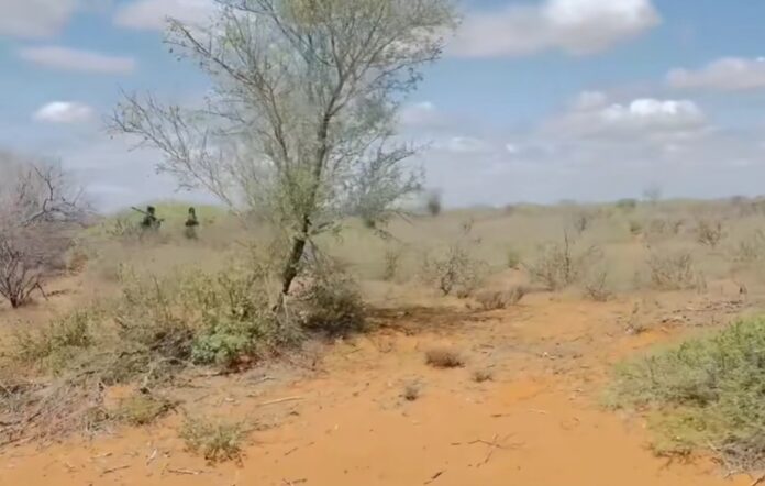 Militeriga Soomaaliya iyo dadka deegaanka oo howlgallo ka wada gobolka Hiiraan