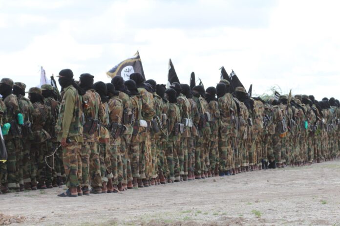 Maleeshiyaadka Al-Shabaab oo kusugan Jilib, Soomaaliya June 2019