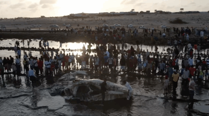 Dadweyne ku xoomay Nibiri ku caariyay Kismaayo.