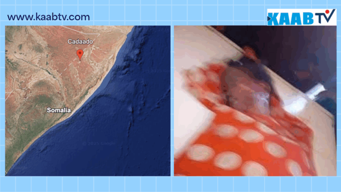 Dhacdadan ayaa argagax ku abuurtay dadka deegaanka Cadaado iyo guud ahaan maamulka Galmudug.