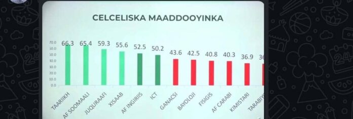 Fashilka Hoggaanka: Wasiir Faarax Sheekh Cabdulqaadir iyo Xiisadda Imtixaanka Qaranka