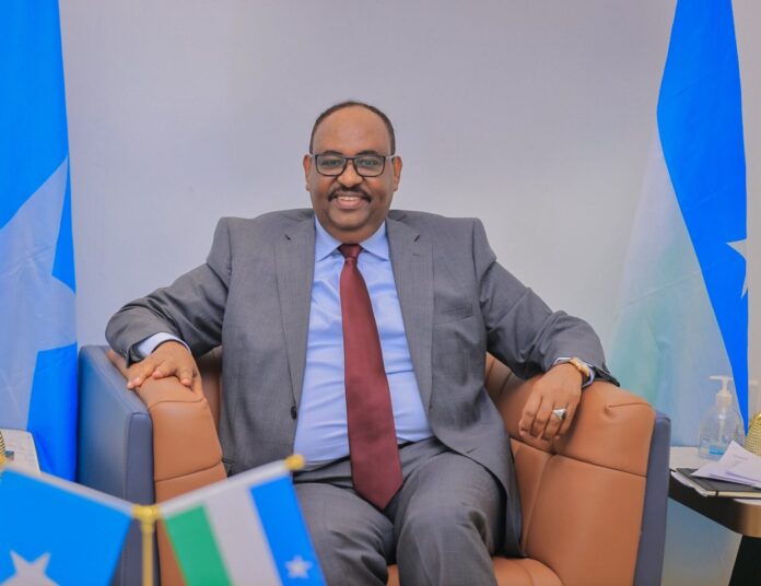 Wasiirka Warfaafinta Puntland oo sheegay in Madaxweyne Deni uu yahay Musharrax u taagan xilka Madaxweynaha Soomaaliya 2026