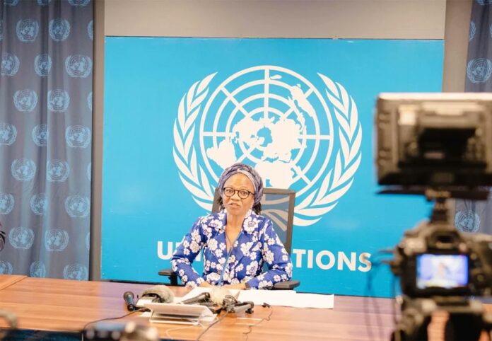 Khabiirka Madaxa-bannaan ee xaaladda xuquuqda aadanaha Soomaaliya, Isha Dyfan.