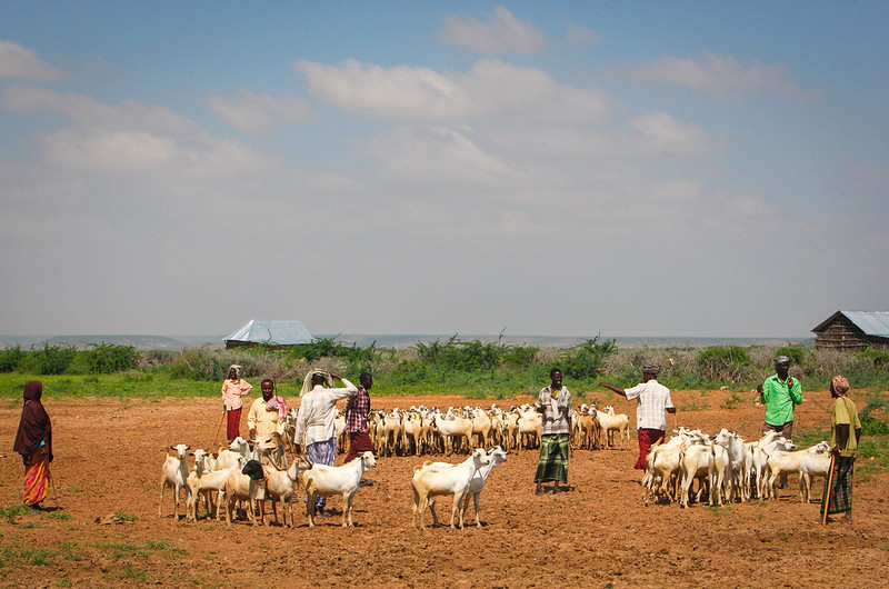 Sawir dad la jira ari miyiga gobolka Hiiraan. | Sawirka/AU/ UN.