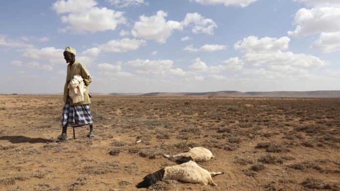 Abaaro daran oo saameeyay Soomaaliya