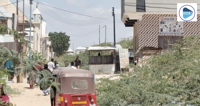 Xaafadda Warlaliska ee Dayniile.