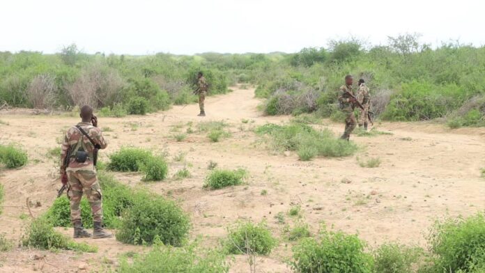Hay’adaha ammaanka Federaalka oo wada howlgallo lagu soo qabanayo Dad dilal ka gaystay Duleedka Baydhabo