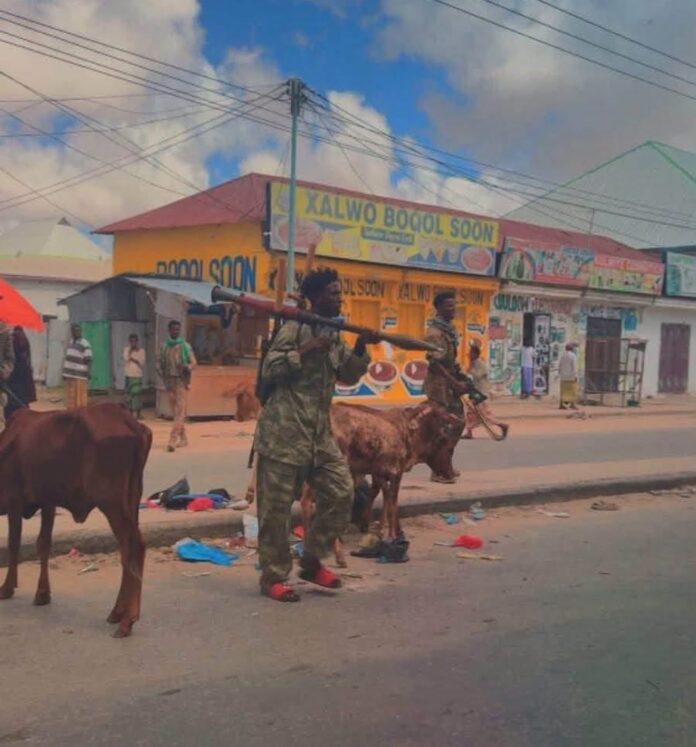 Warlaliska oo wajahaya xiisad cusub, qorshe howlgalna laga digayo?