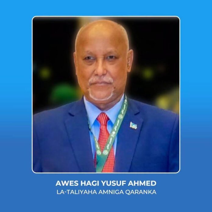 Faahfaahin ka soo baxaysa dilka wiil uu dhalay La-taliyaha Amniga Qaranka