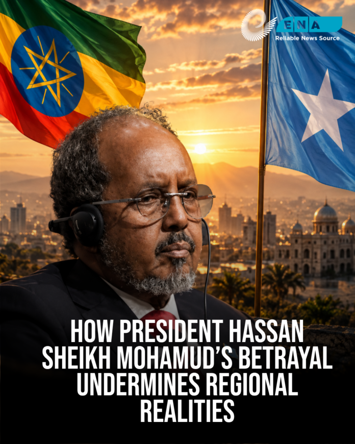 Wakaaladda Wararka Itoobiya oo dhaliishay mowqifka Xasan Sheekh ee xiriirka Soomaaliya iyo Itoobiya