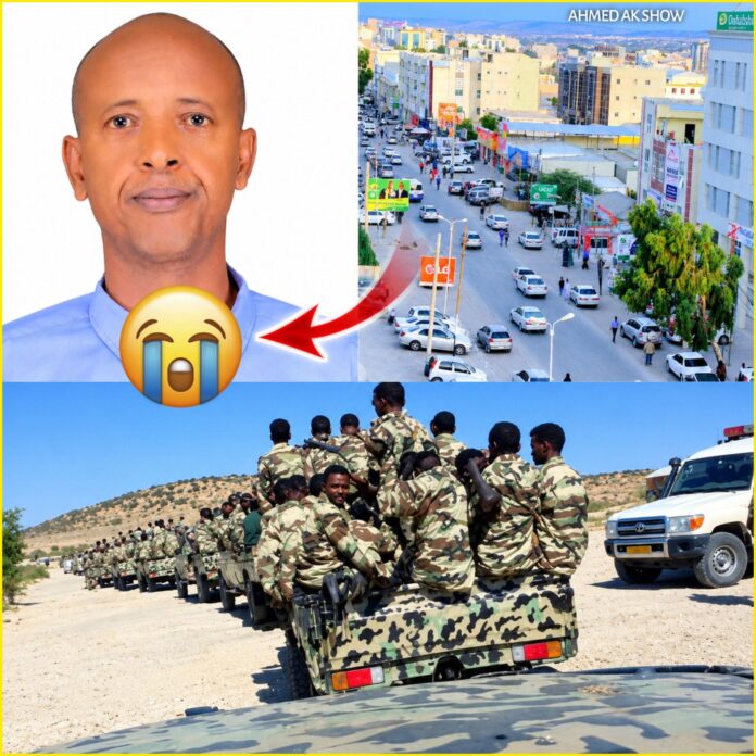 Dilka Axmed Kaahin ee Hargeysa oo dhaliyay su’aalo iyo baaqyo ku aaddan baaritaan